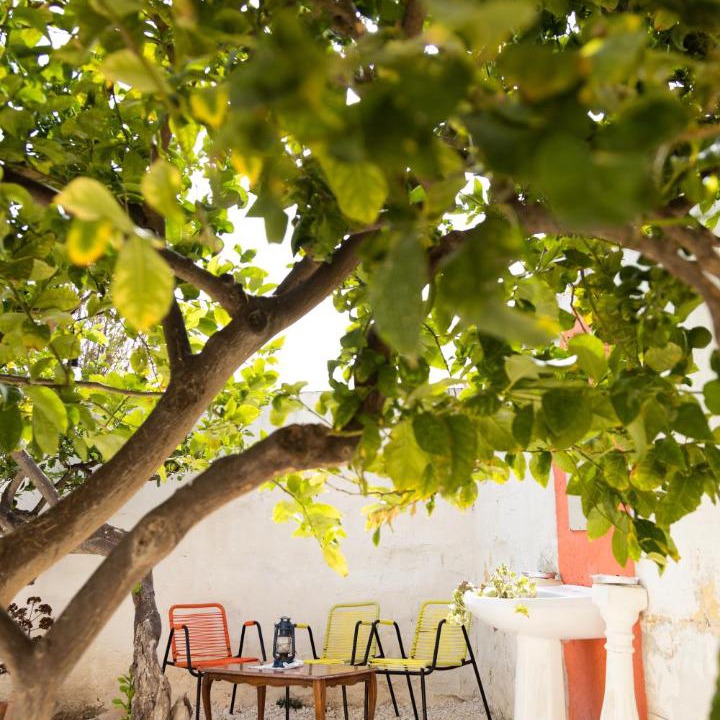Photo of Others in Nubia