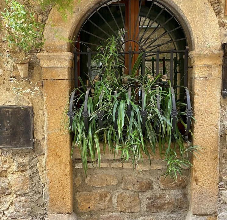 Photo of Others in Piazza Armerina