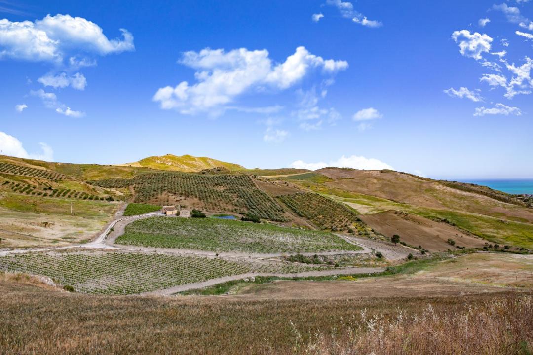 Photo of Outdoor in Licata