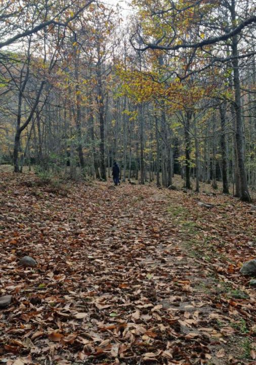 Photo of Outdoor in Petralia Soprana