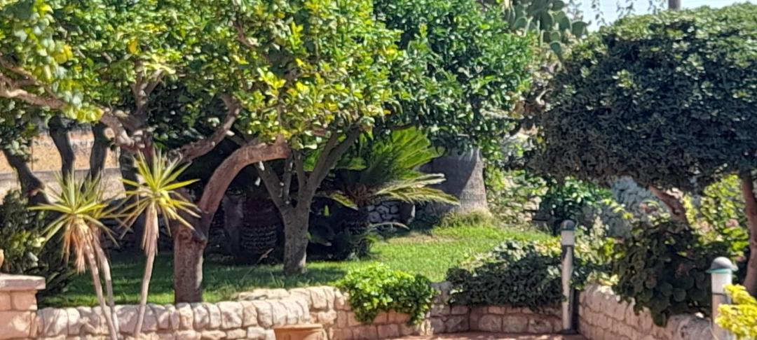 Photo of Others in Ragusa