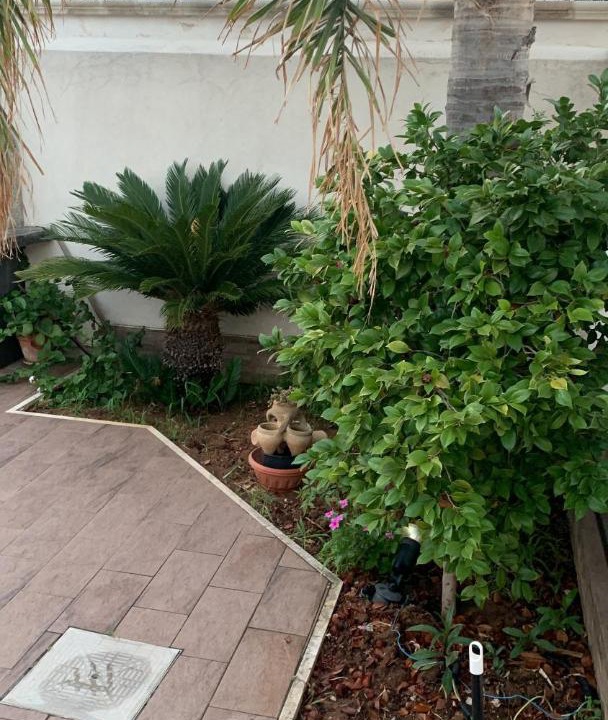 Photo of Patio Balcony in Triscina