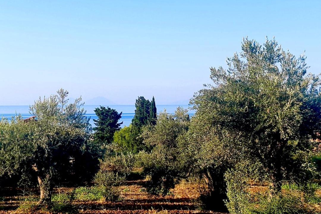 Photo of Outdoor in Acquedolci