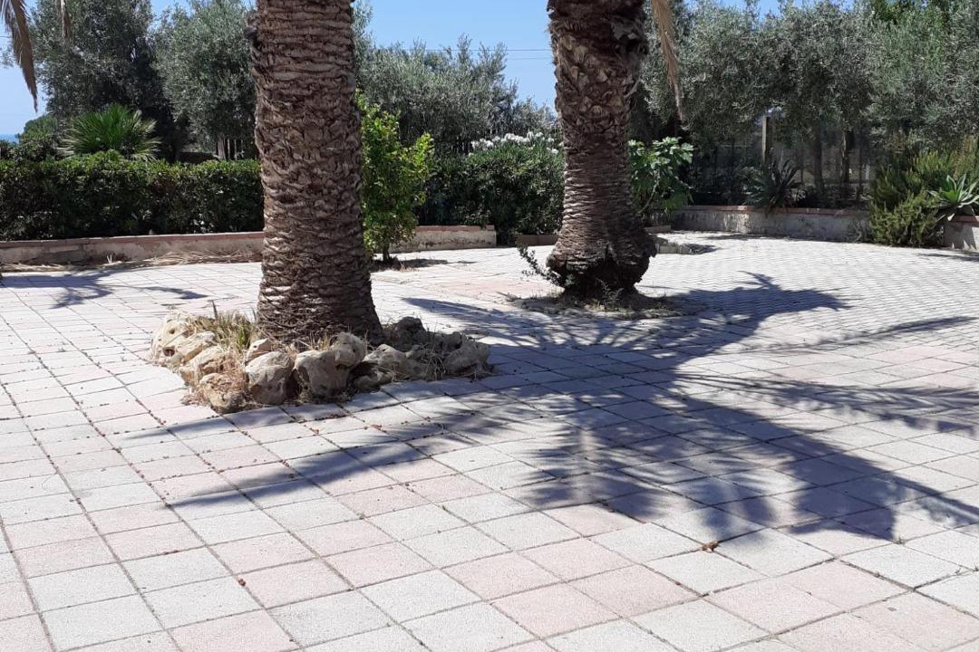Photo of Others in Falconara