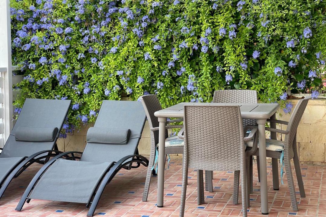 Photo of Patio Balcony in Fondo Morte