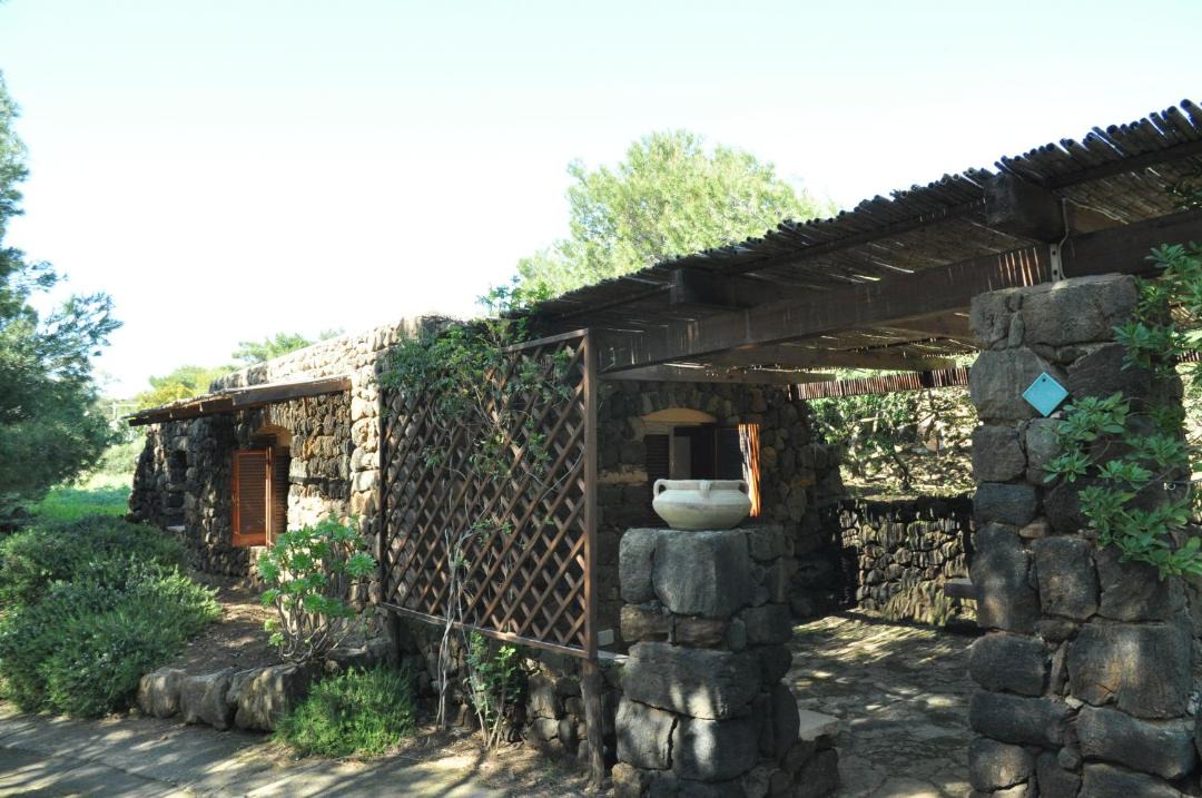 Photo of Others in Pantelleria