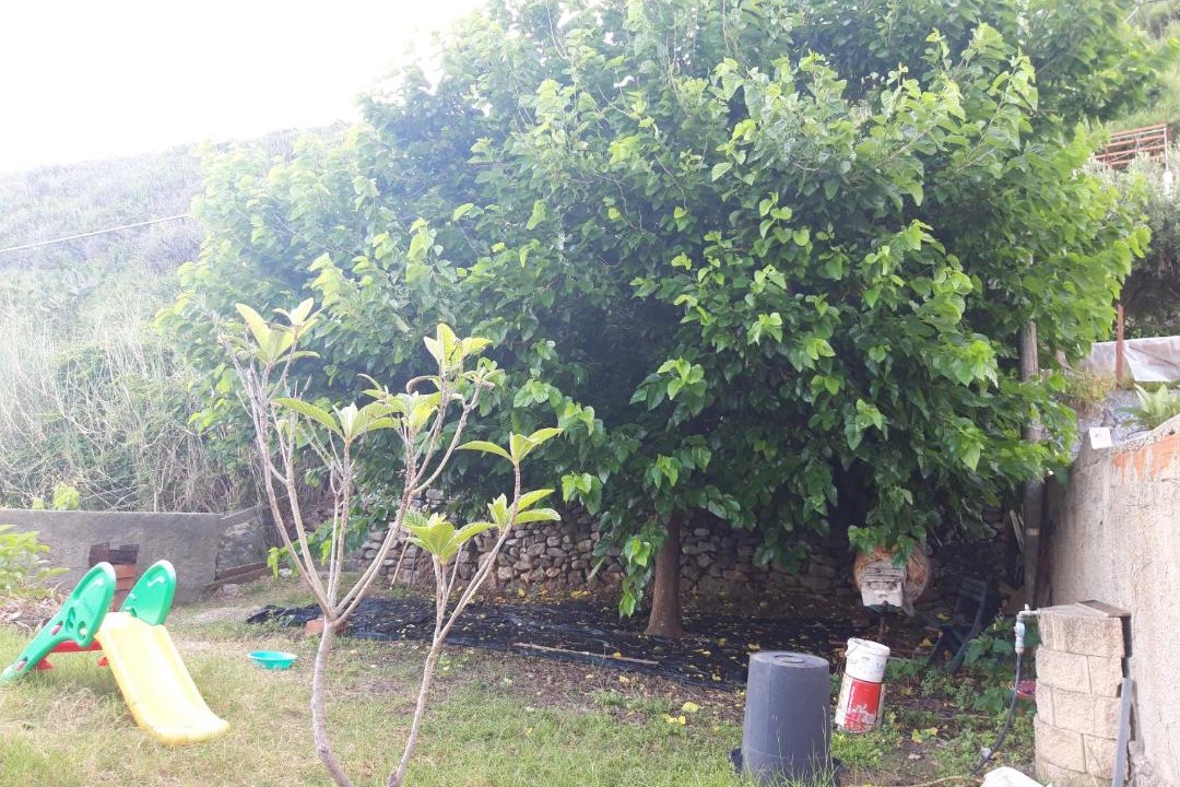 Photo of Outdoor in Province of Messina