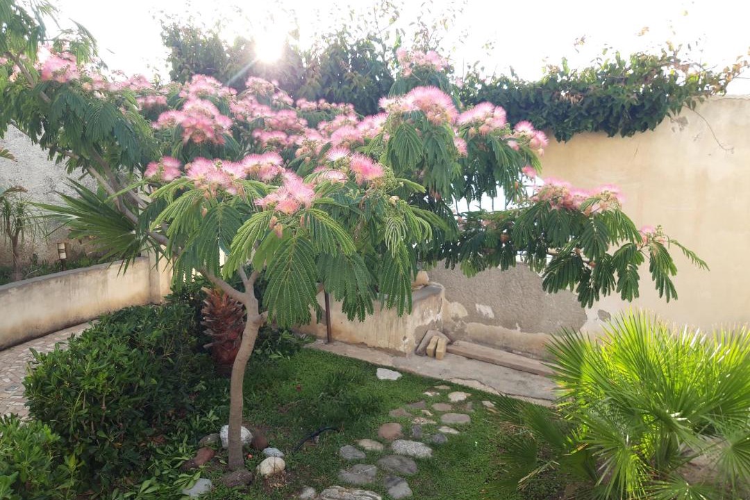 Photo of Others in Province of Messina