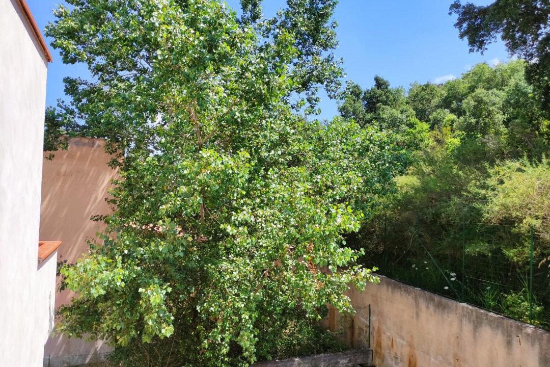 Photo of Others in Pollina