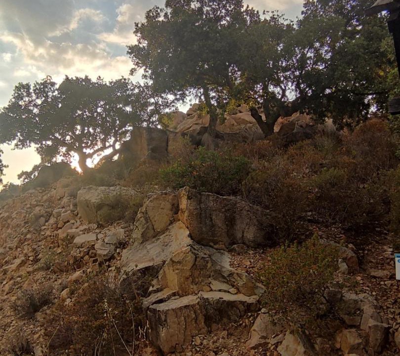 Photo of Outdoor in Pollina