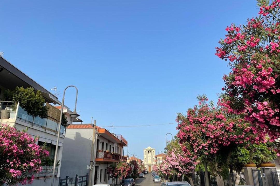 Photo of Others in Santa Tecla