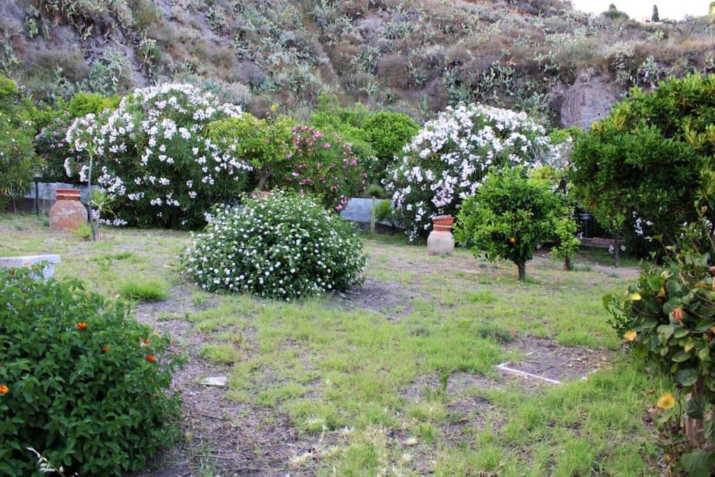 Photo of Others in Lipari