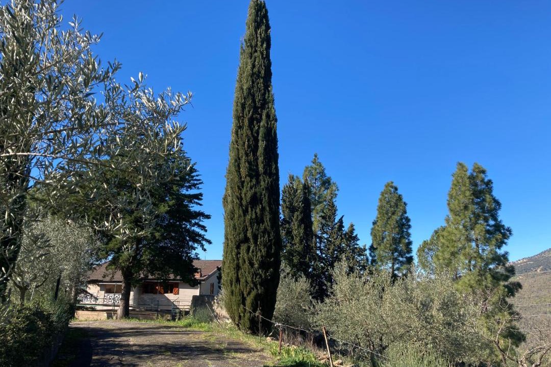 Photo of Others in Gagliano Castelferrato