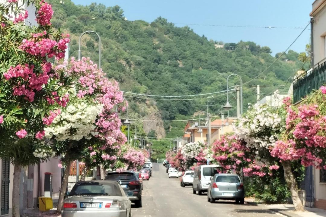 Photo of Others in Santa Tecla