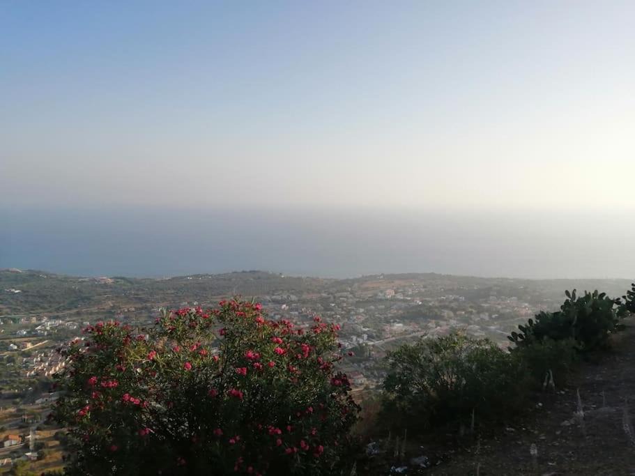 Photo of Others in Sciacca