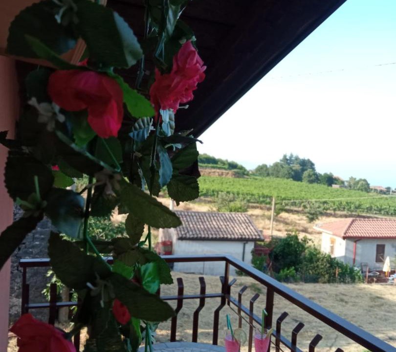 Photo of Patio Balcony in Milo