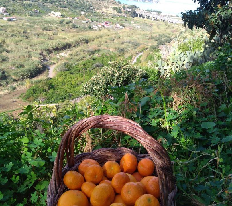 Photo of Others in Altavilla Milicia
