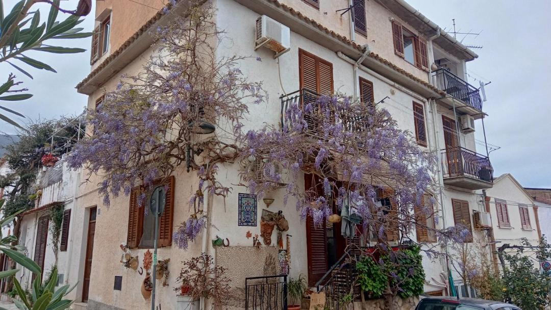 Photo of Buildings in Scopello