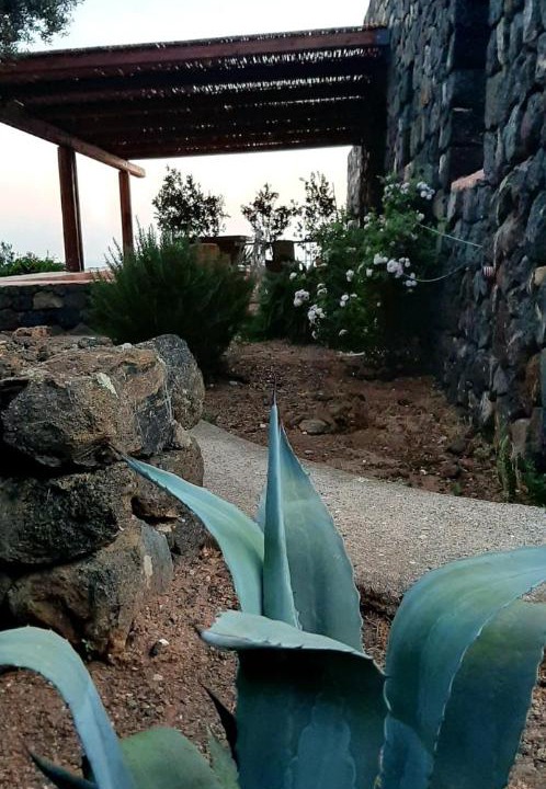Photo of Others in Pantelleria