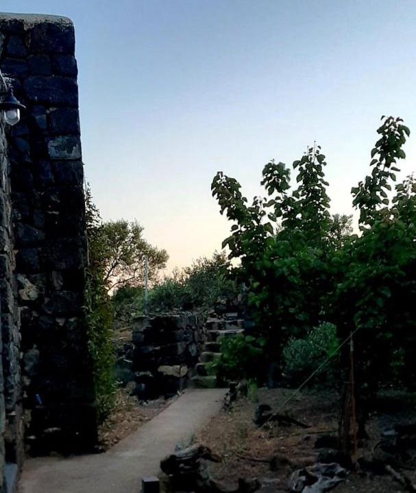 Photo of Others in Pantelleria