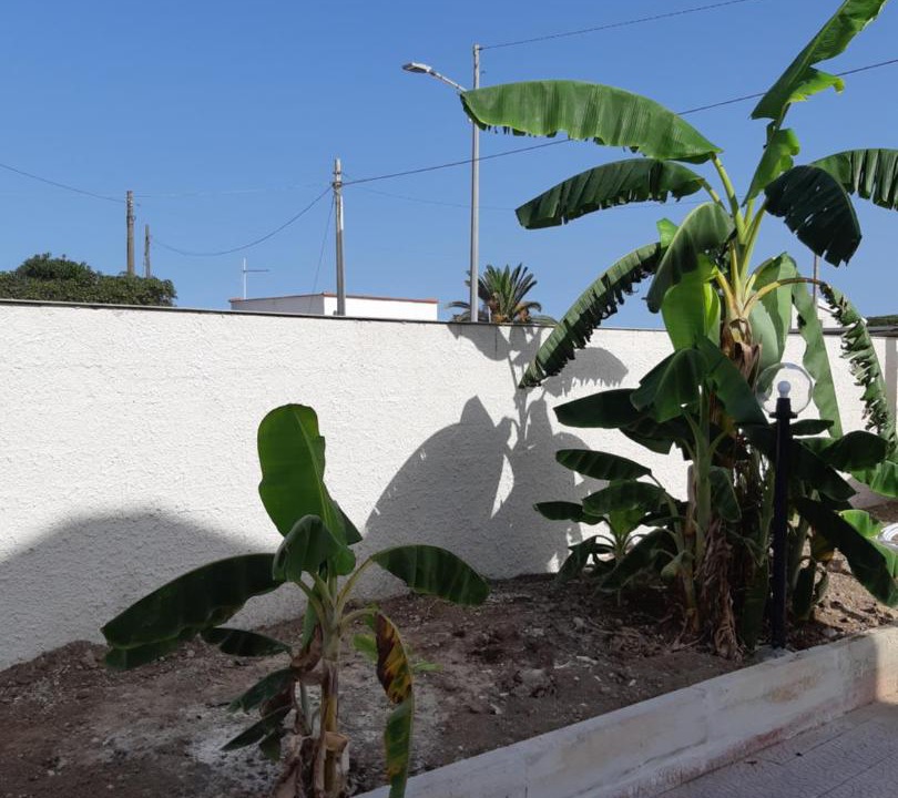 Photo of Others in Gallina