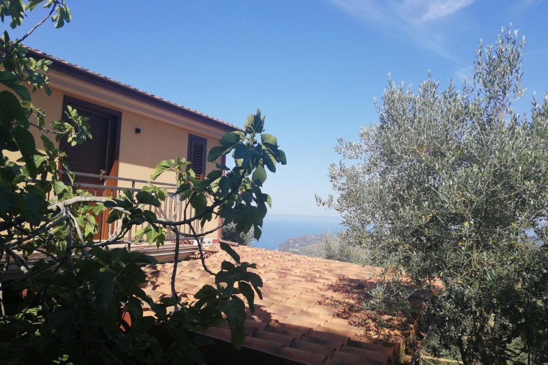 Photo of Others in San Mauro Cilento