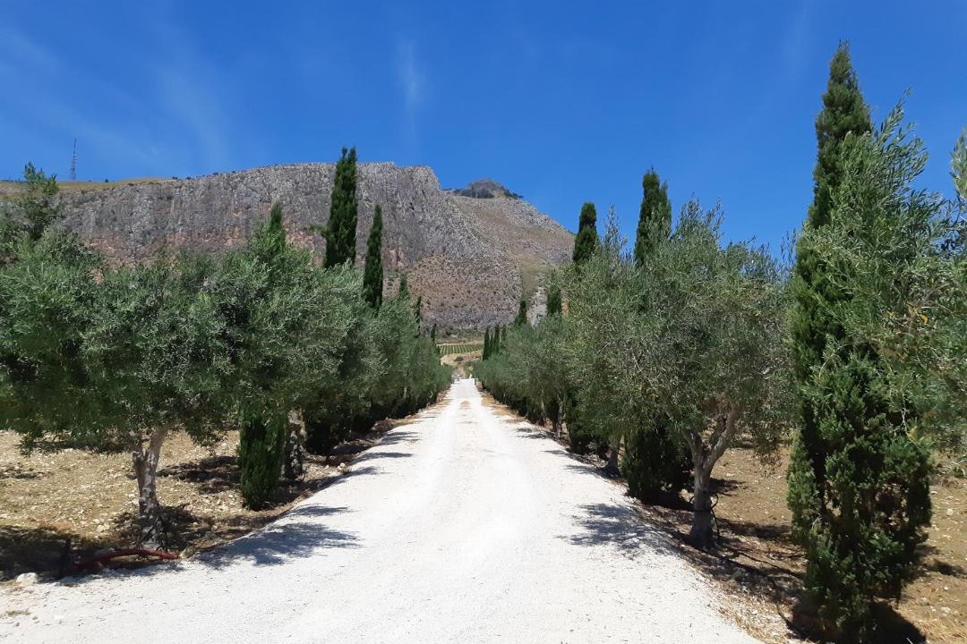 Photo of Others in Erice