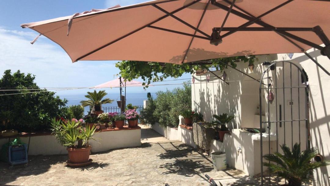 Photo of Others in Erice