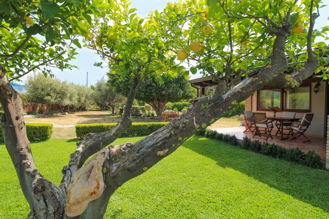 Photo of Patio Balcony in Torrenova