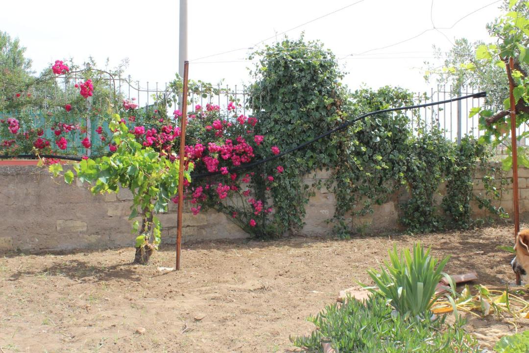 Photo of Others in Sciacca