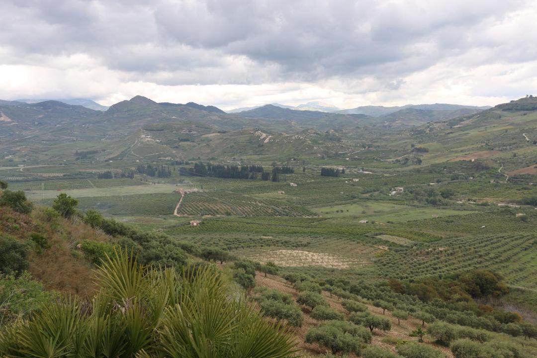 Photo of Others in Caltabellotta