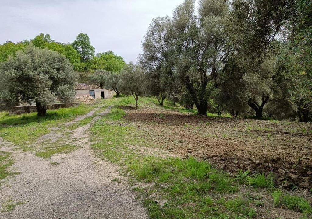 Photo of Others in Sant'Onofrio