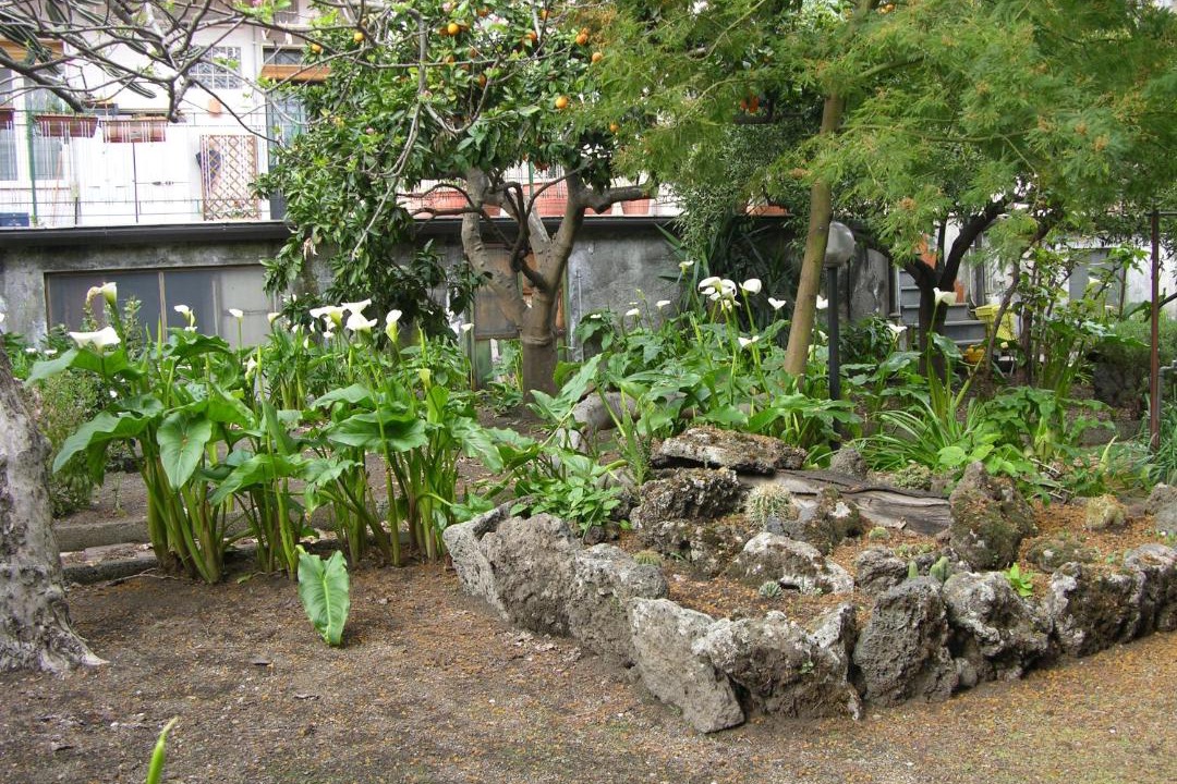 Photo of Others in Belpasso