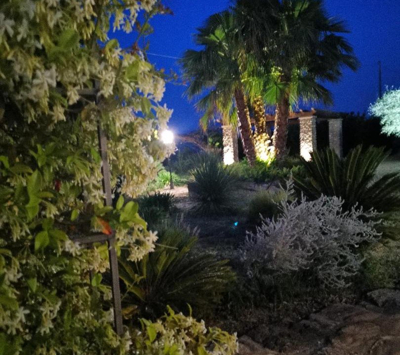 Photo of Others in Caltanissetta