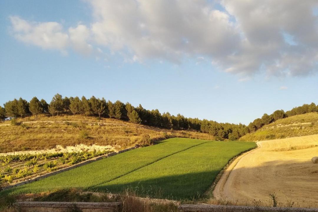 Photo of Outdoor in Modica