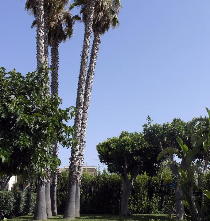 Photo of Outdoor in San Lorenzo