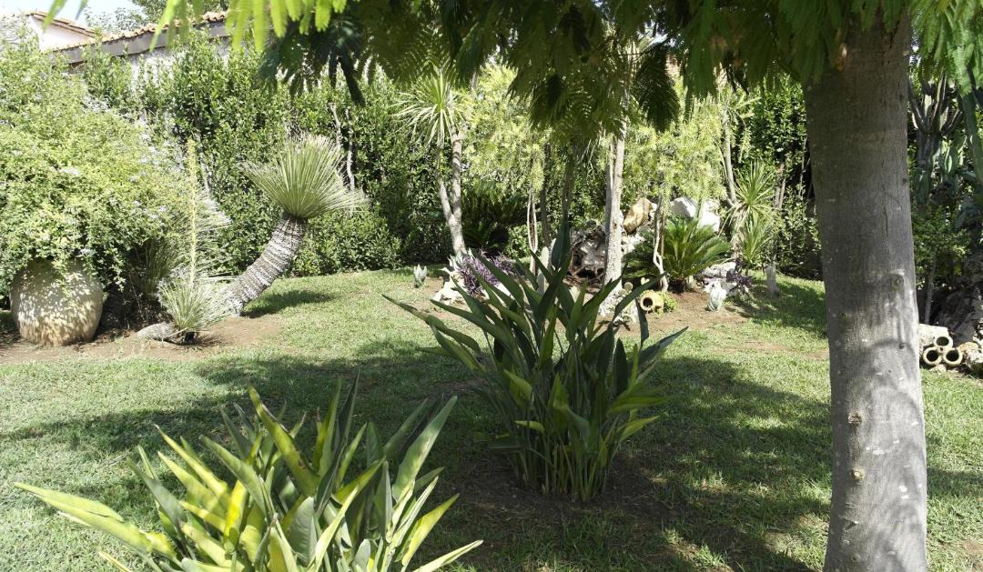 Photo of Outdoor in San Lorenzo