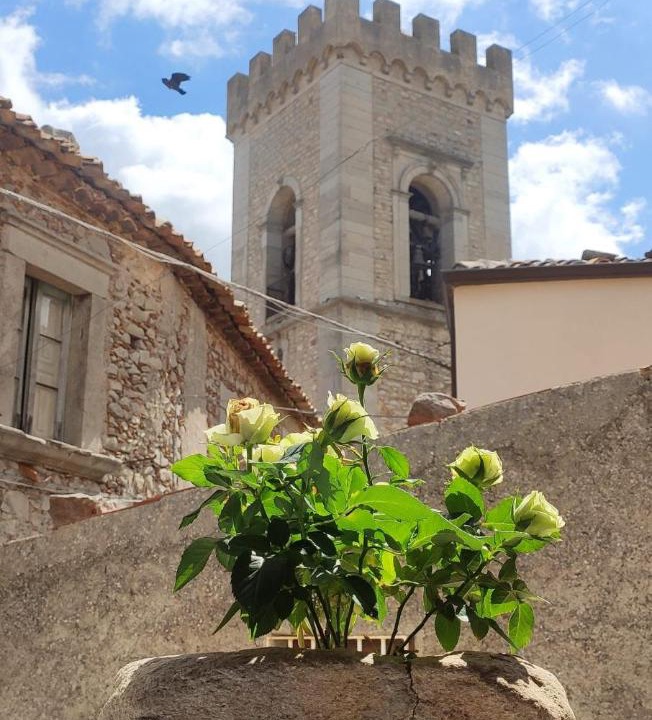 Photo of Others in Montalbano Elicona