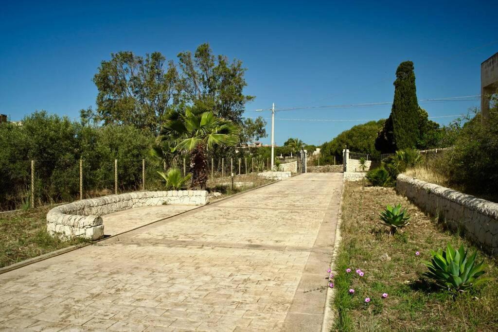 Photo of Others in Cava dʼAliga