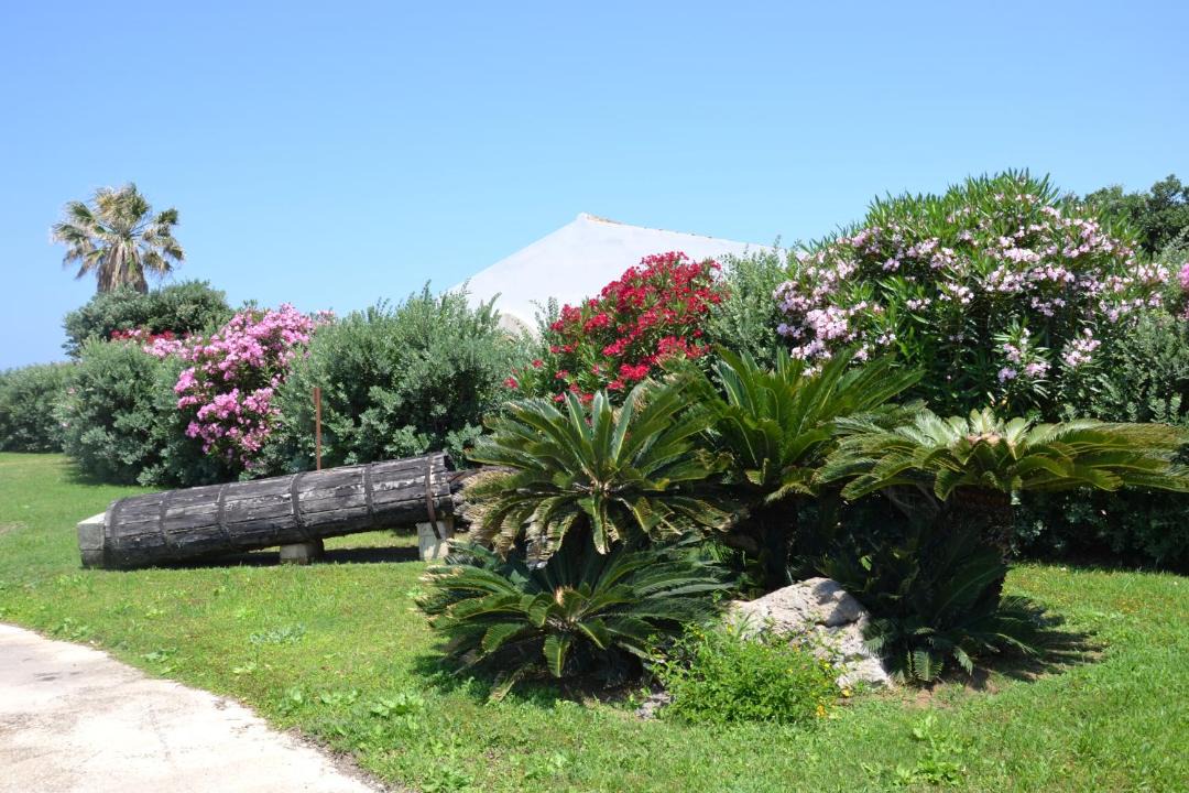 Photo of Outdoor in Casa Santa
