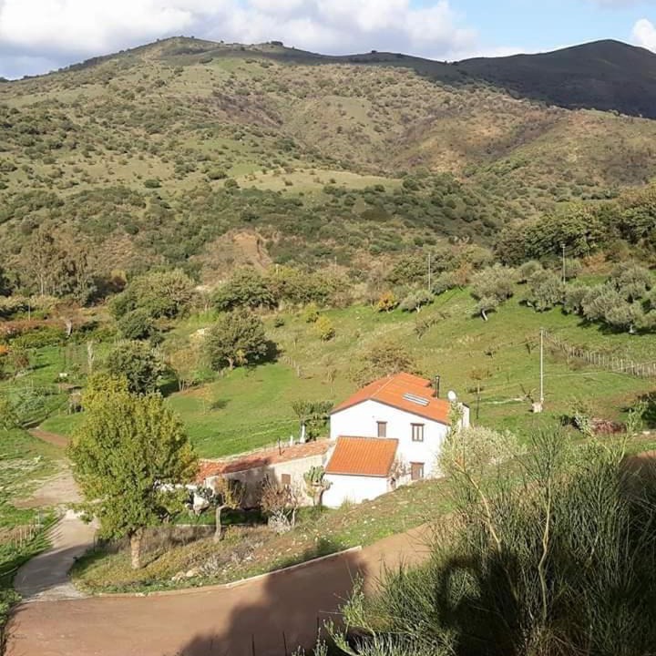 Photo of Others in Castelbuono