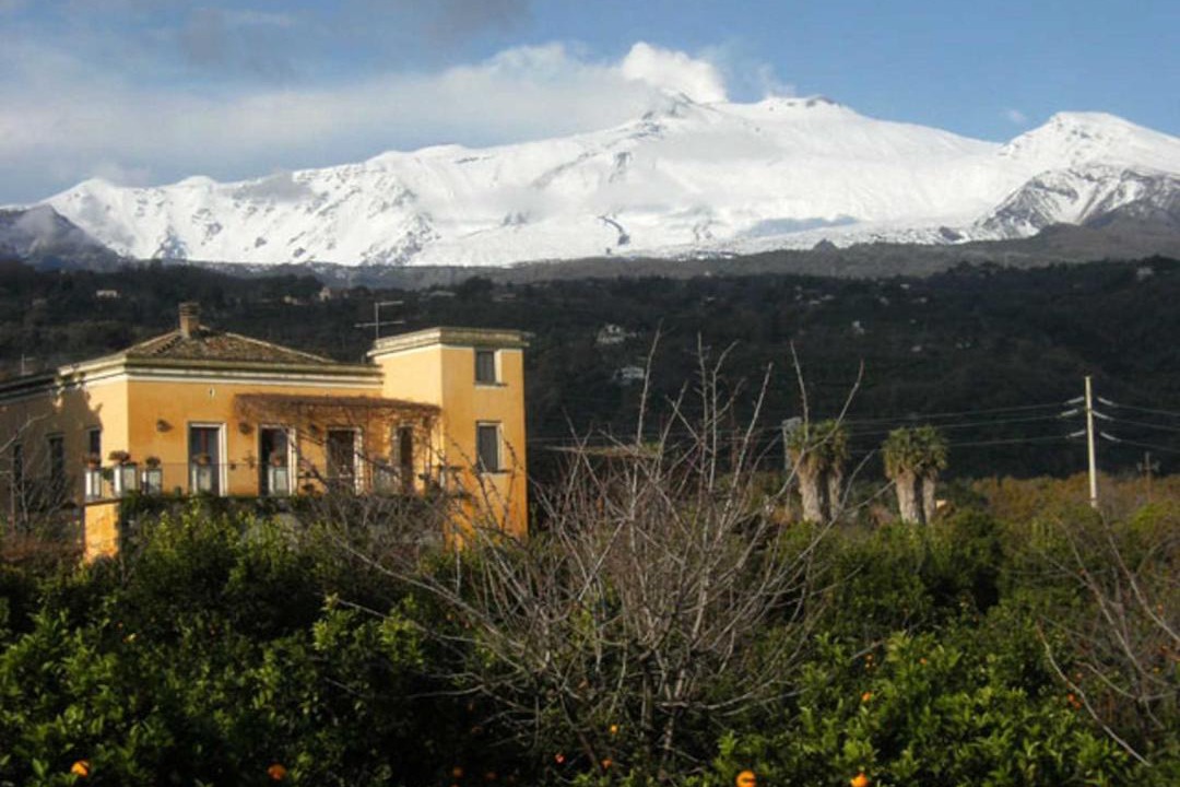 Photo of Others in Macchia