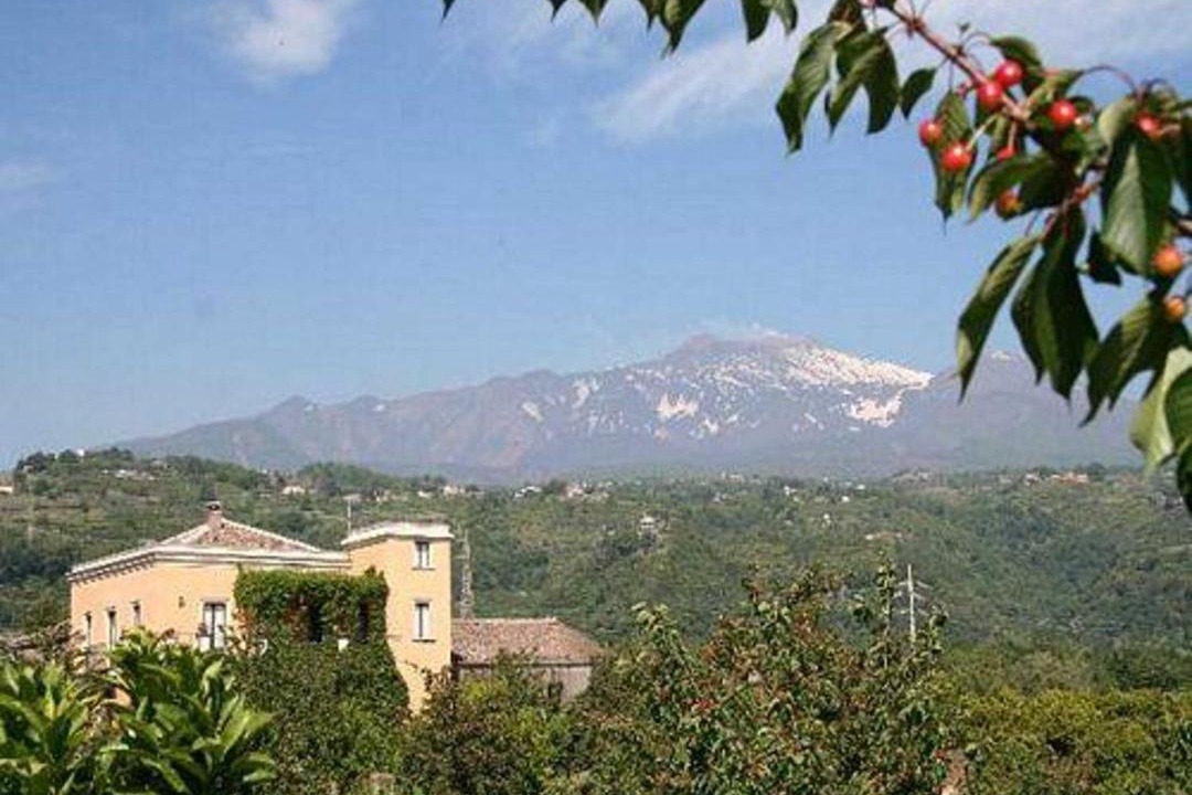 Photo of Outdoor in Macchia