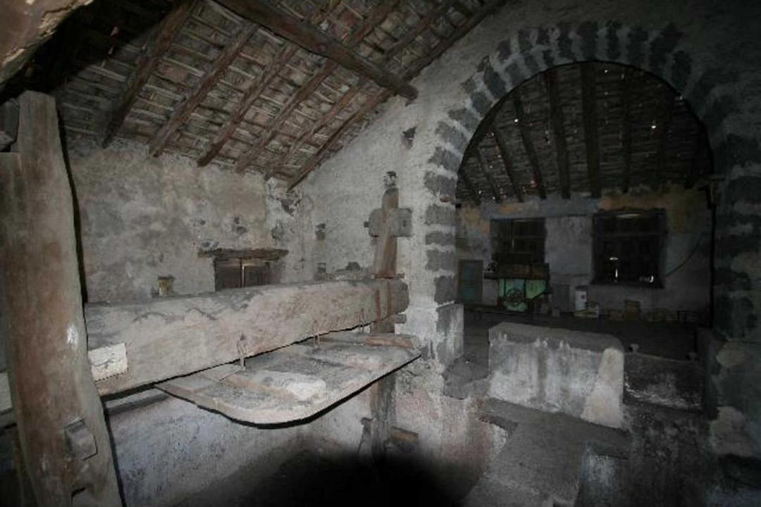 Photo of Others in Macchia