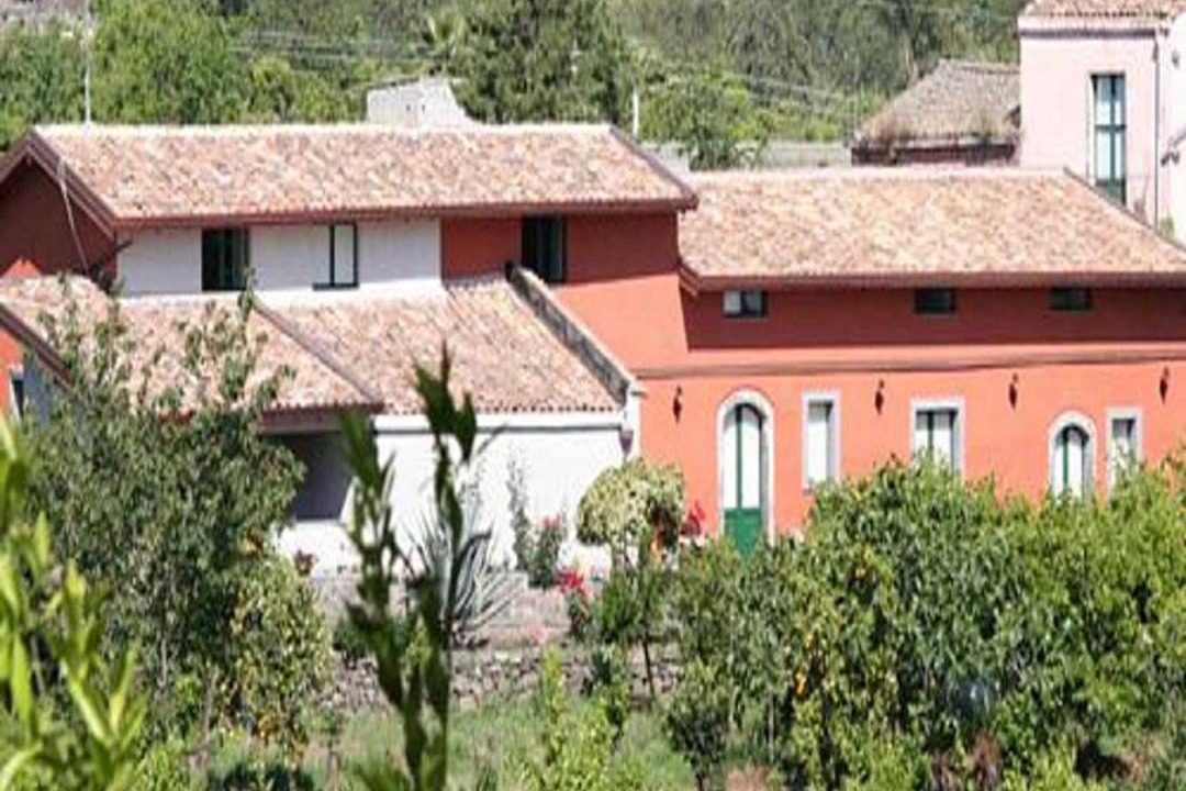 Photo of Others in Macchia