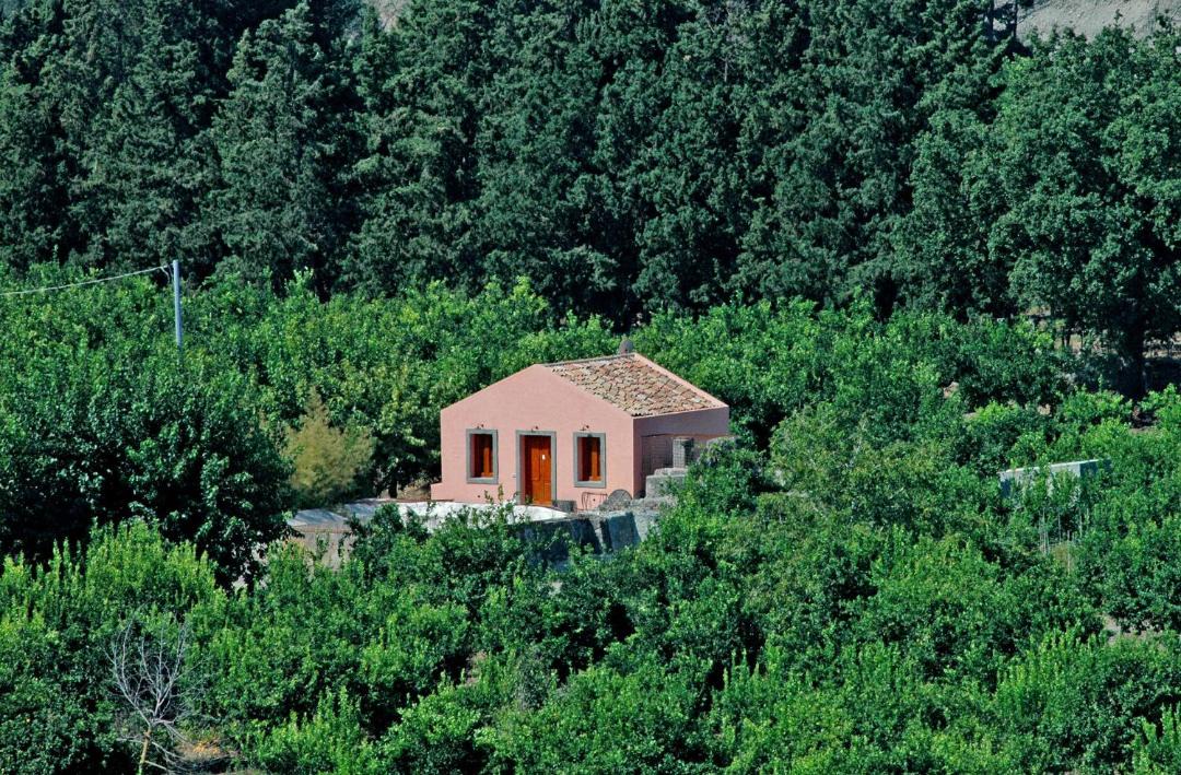 Photo of Others in Rodi Milici