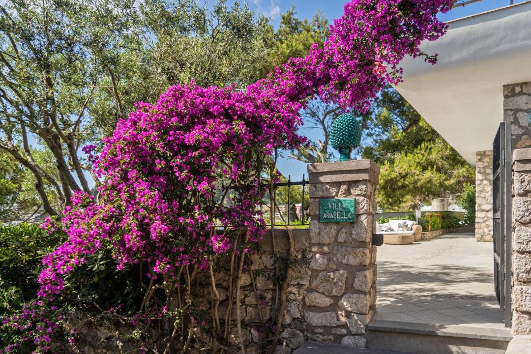 Photo of Others in Capri