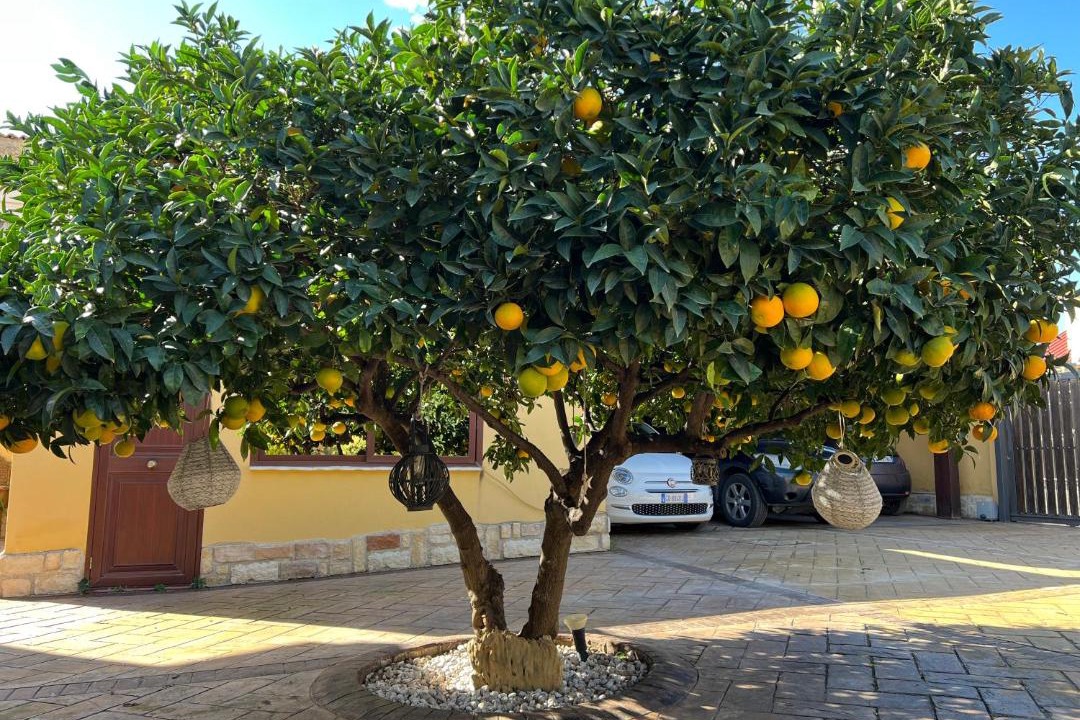 Photo of Others in Villaggio Mose