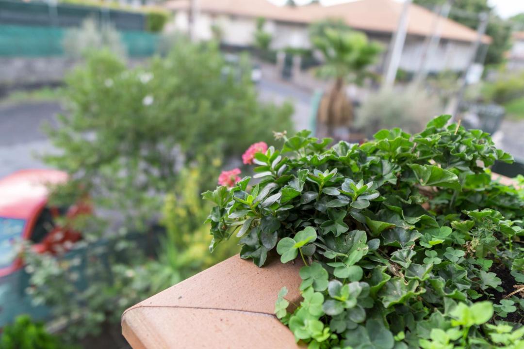 Photo of Outdoor in Pedara