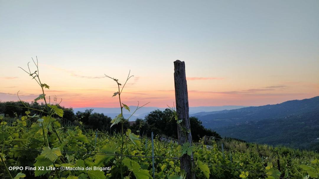 Photo of Others in Montevergine